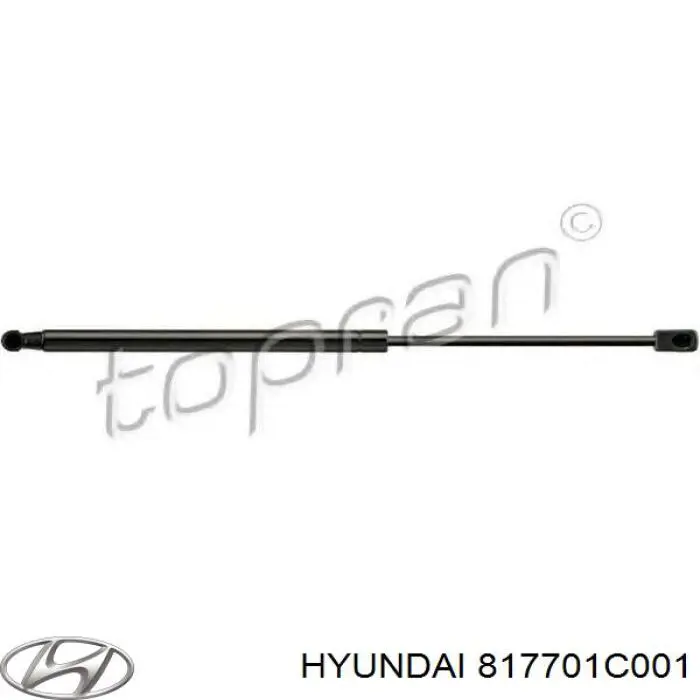 Amortiguador de maletero Hyundai/Kia 817701C001 precio, desde 10,11 EUR