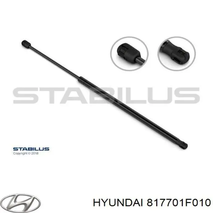 817701F010 Hyundai/Kia amortiguador maletero