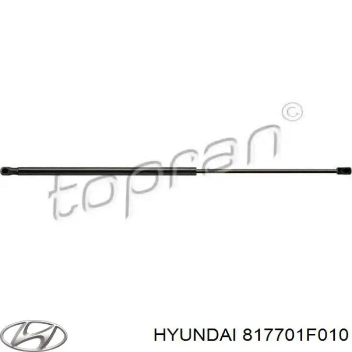 Amortiguador de maletero Hyundai/Kia 817701F010 precio, desde 16,88 EUR