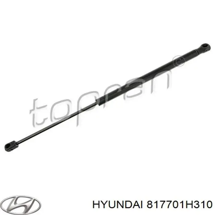 817701H310 Hyundai/Kia amortiguador de maletero