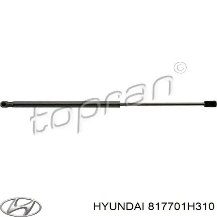 Amortiguador maletero 817801H310 Hyundai/Kia
