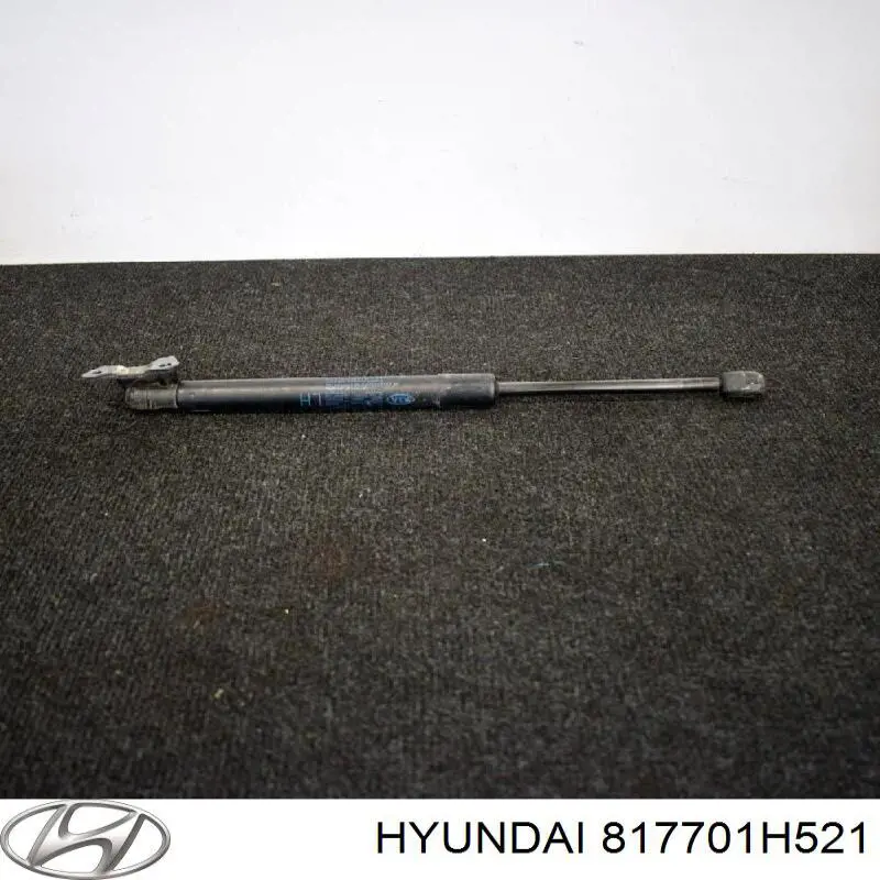 817701H521 Hyundai/Kia amortiguador maletero