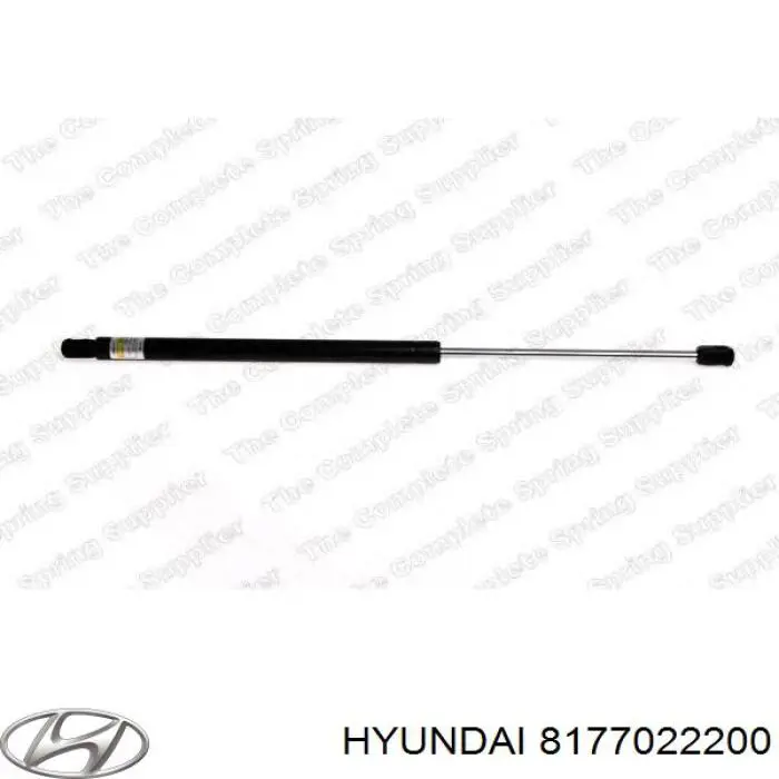 8177022200 Hyundai/Kia amortiguador maletero