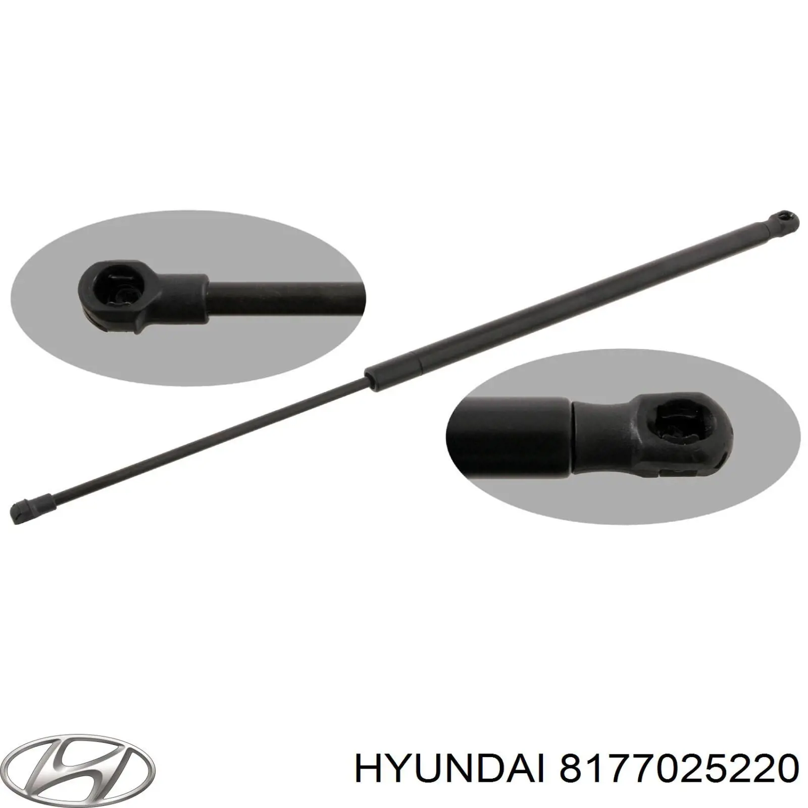 8177025220 Hyundai/Kia amortiguador de maletero