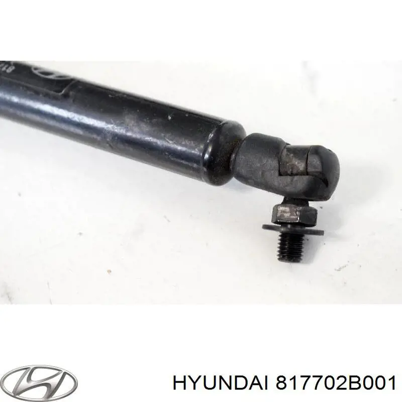 817702B001 Hyundai/Kia amortiguador maletero