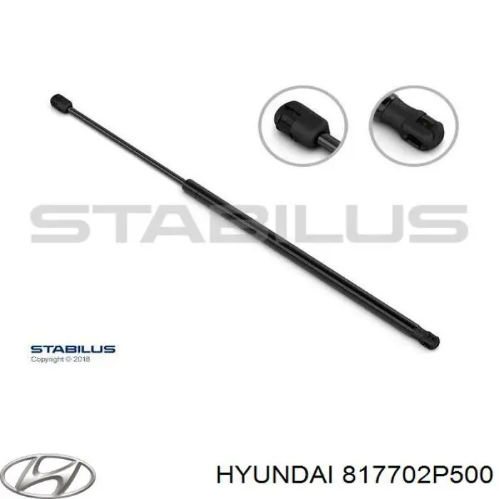817702P501 Hyundai/Kia amortiguador maletero