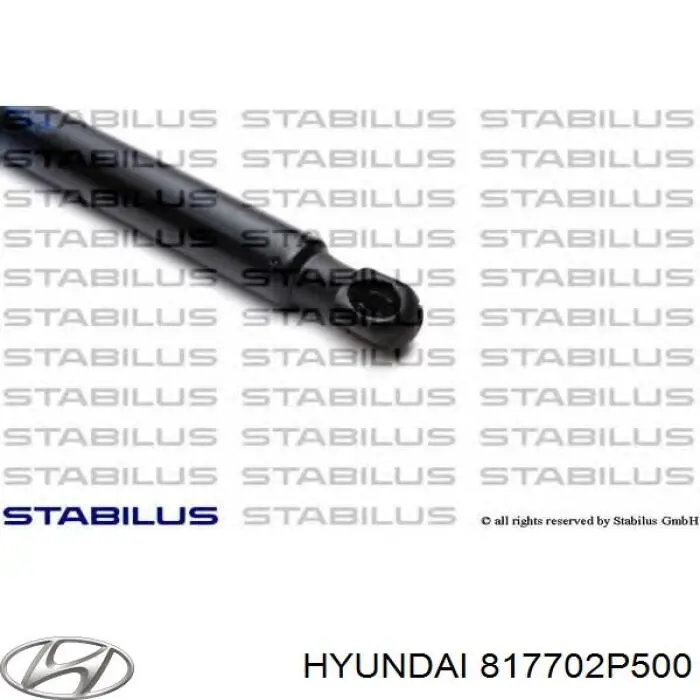 817702P500 Hyundai/Kia Amortiguador de porton