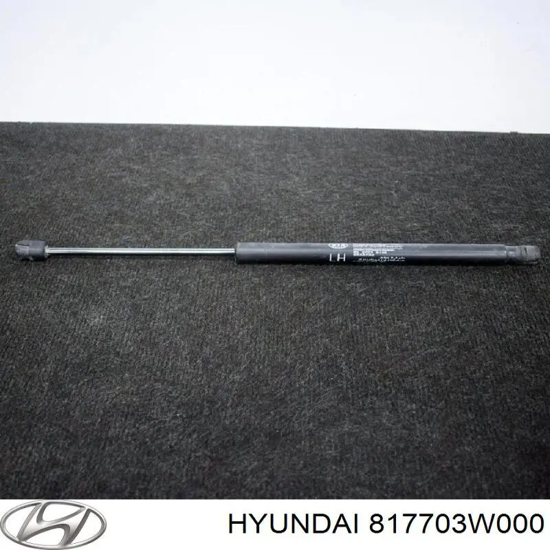 817703W000 Hyundai/Kia amortiguador de maletero