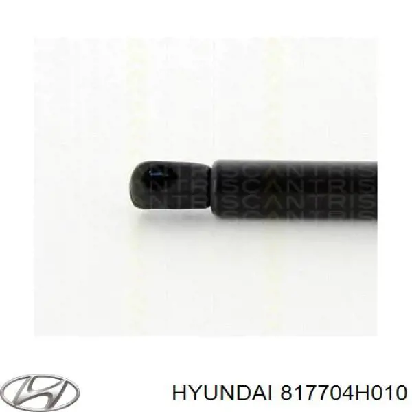 817704H010 Hyundai/Kia amortiguador de maletero