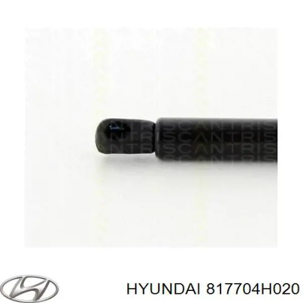 817704H020 Hyundai/Kia Amortiguador de porton