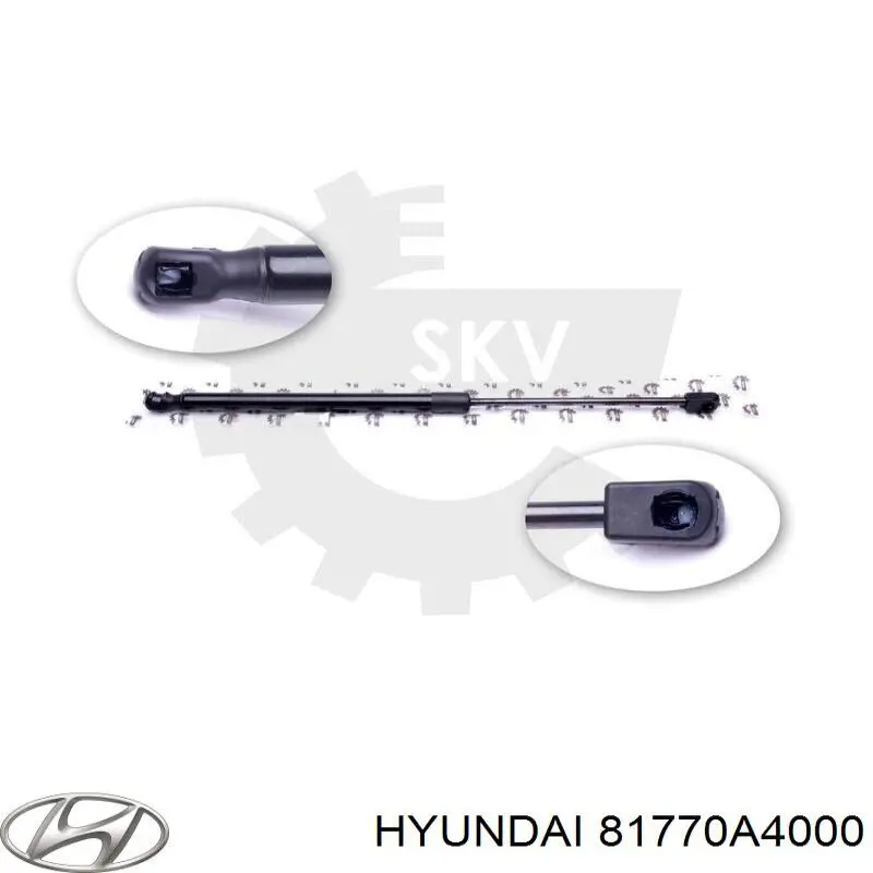 81770A4000 Hyundai/Kia amortiguador de maletero