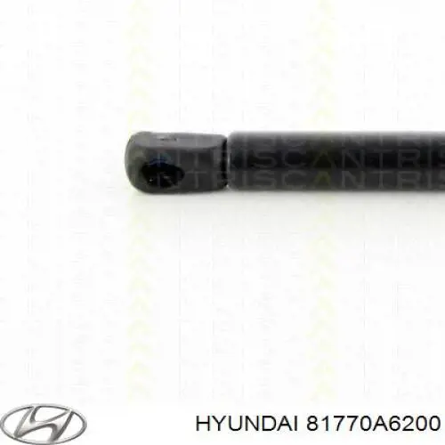Amortiguador de maletero Hyundai/Kia 81780A6200 precio, desde 18,71 EUR