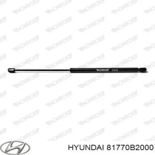 81770B2000 Hyundai/Kia Amortiguador de porton