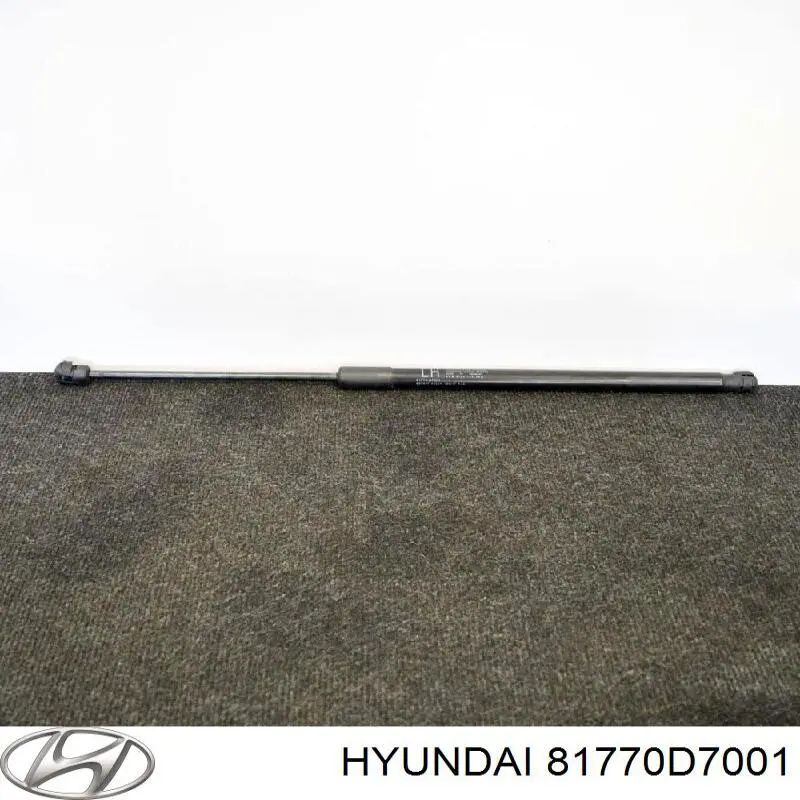 81770D7001FFF Hyundai/Kia