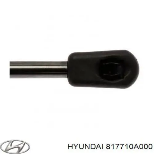 817710A000 Hyundai/Kia amortiguador de maletero