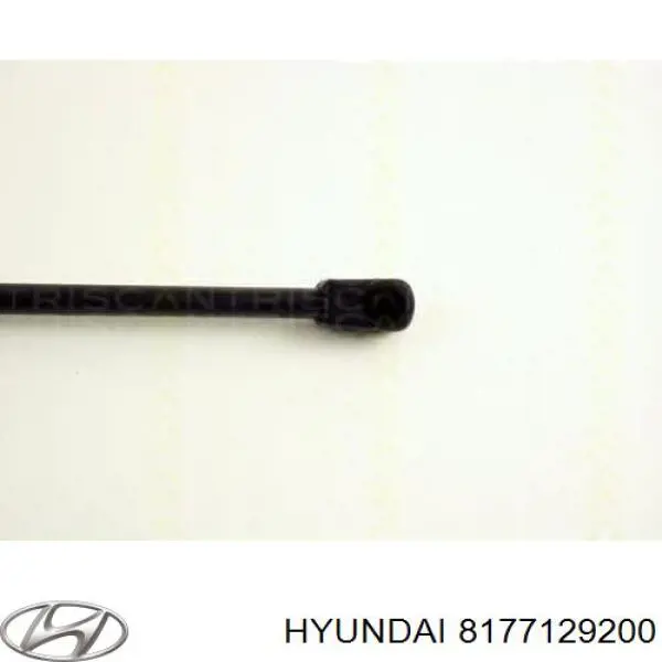 Amortiguadores maletero Hyundai Lantra 2 