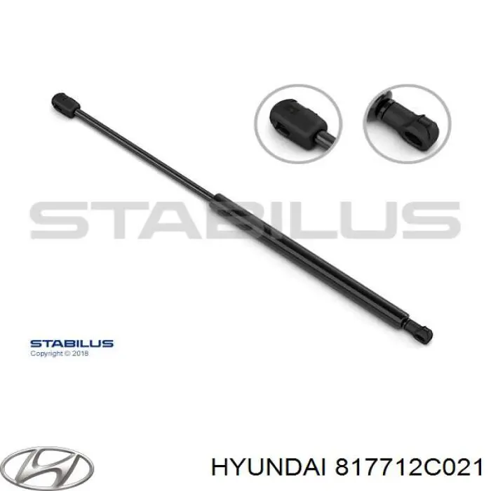 Amortiguadores maletero Hyundai Coupe RD