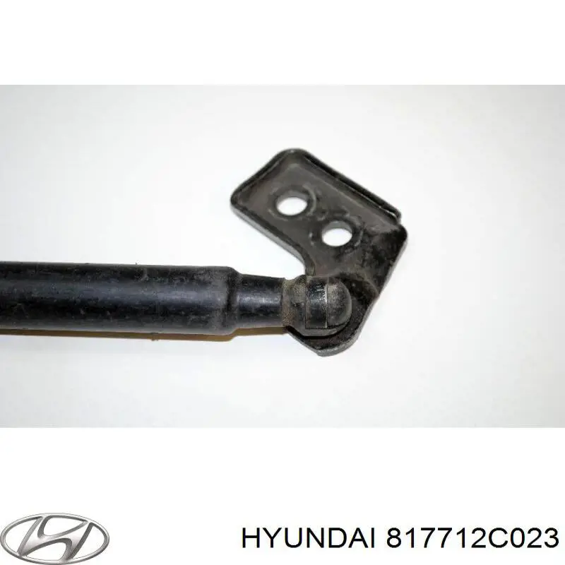 817712C023 Hyundai/Kia Amortiguador de porton