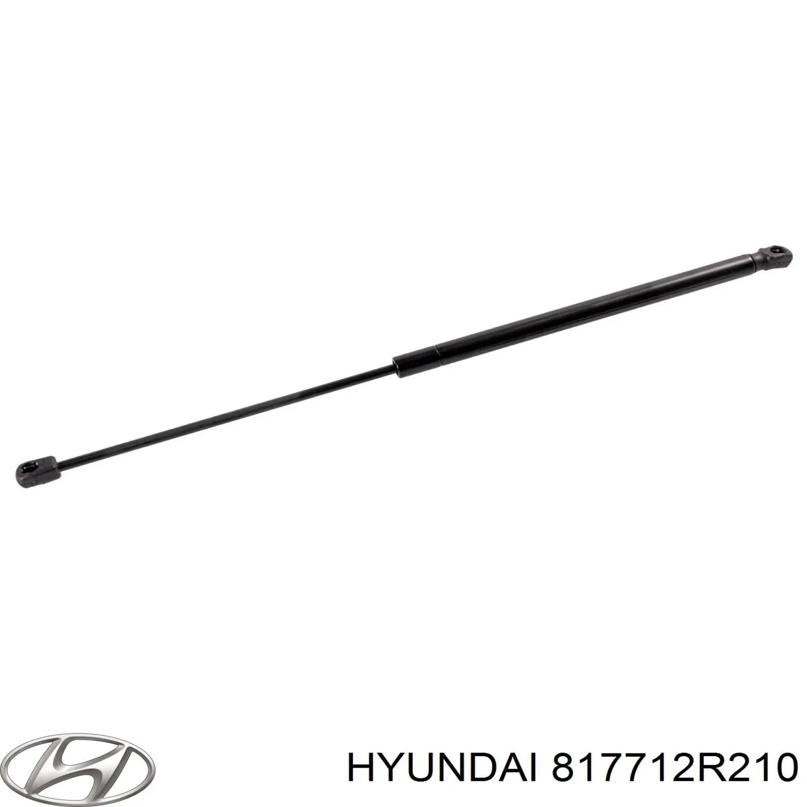 817712R210 Hyundai/Kia