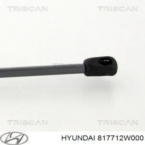 Amortiguador de maletero Hyundai/Kia 817712W000 precio, desde 13,37 EUR