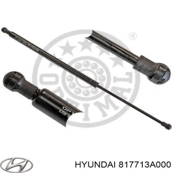 817713A000 Hyundai/Kia amortiguador maletero
