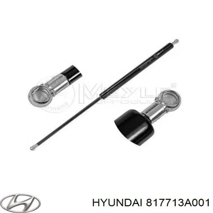 817713A001 Hyundai/Kia amortiguador maletero
