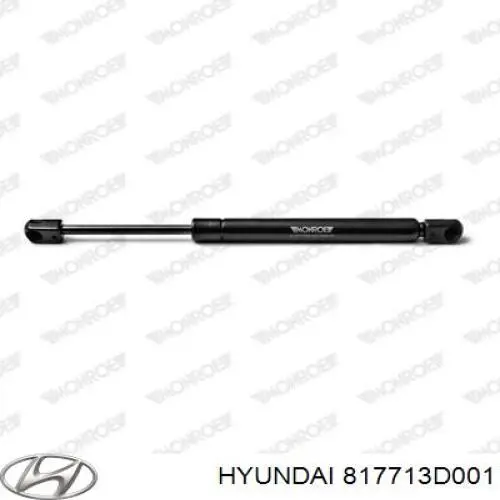 817713D001 Hyundai/Kia amortiguador maletero