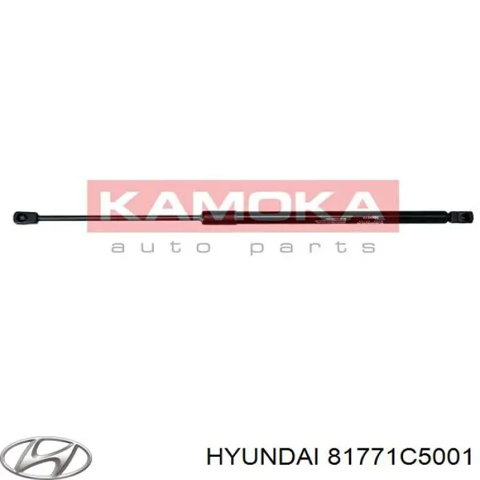 81771C5001 Hyundai/Kia