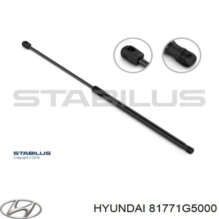 81771G5000 Hyundai/Kia Amortiguador de porton