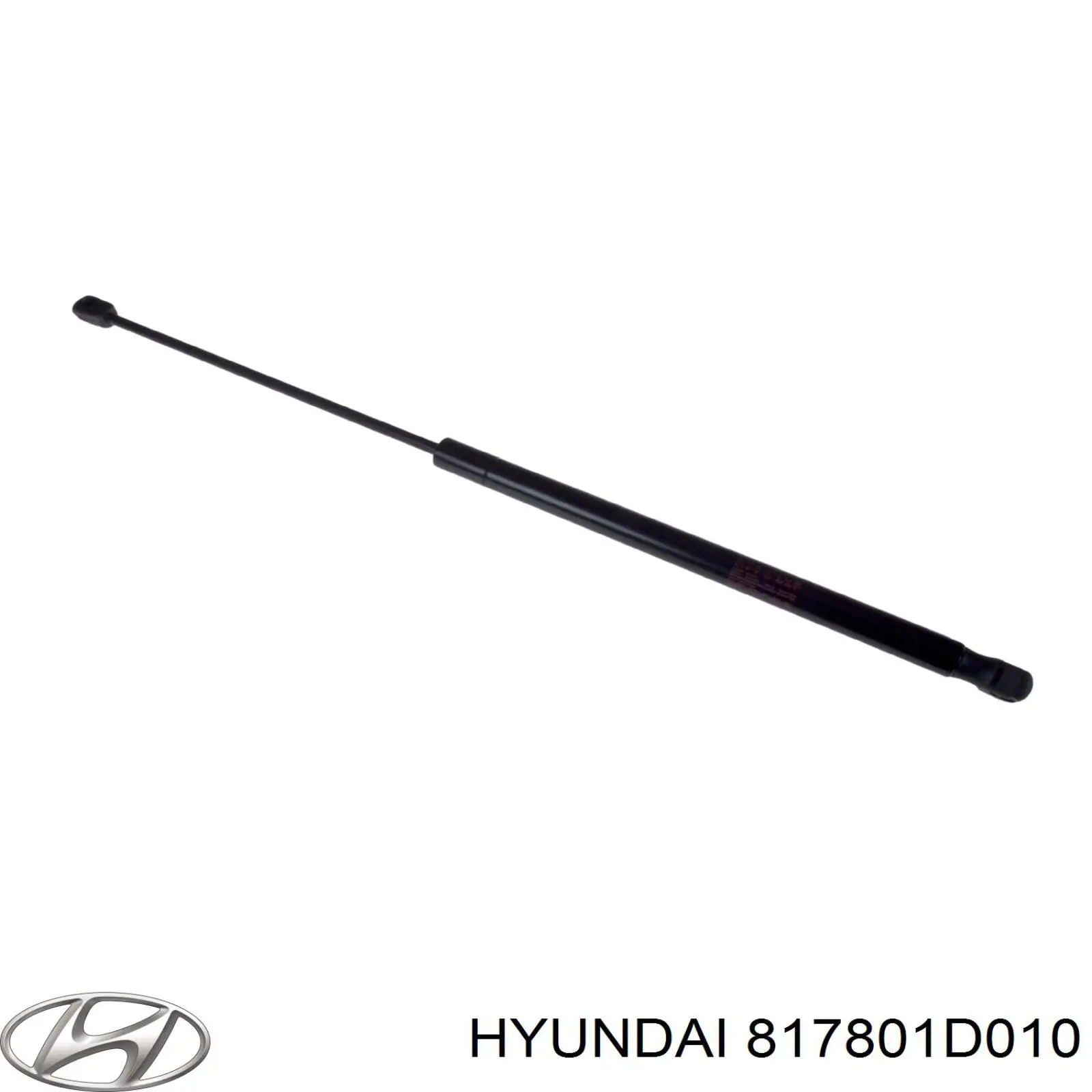 817801D010 Hyundai/Kia amortiguador de maletero