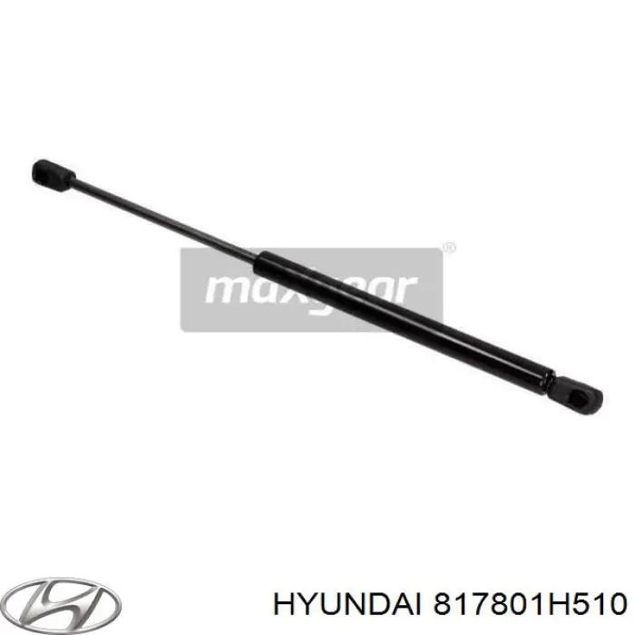 817801H510 Hyundai/Kia amortiguador maletero