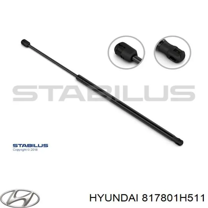 817801H511 Hyundai/Kia Amortiguador de porton