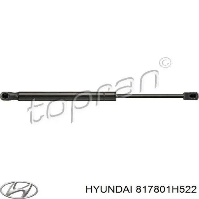 Amortiguador de maletero Hyundai/Kia 817801H522 precio, desde 30,86 EUR