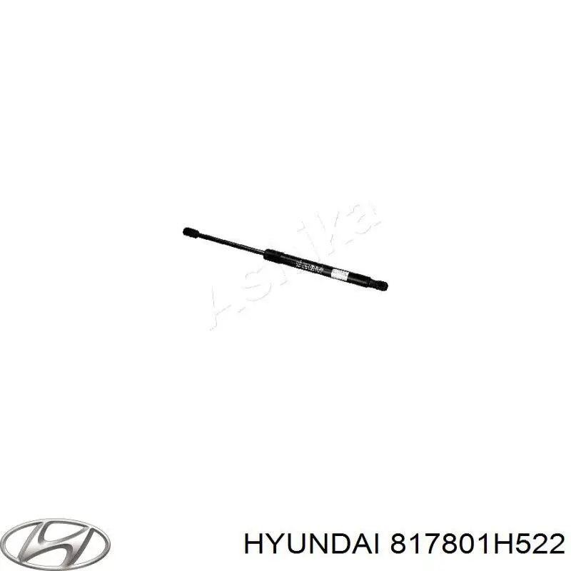 817801H522 Hyundai/Kia Amortiguador de porton