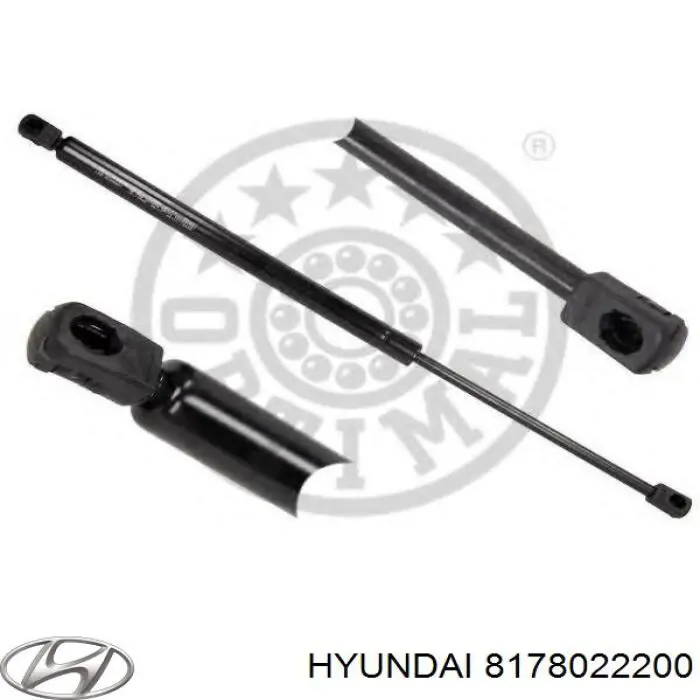 8178022200 Hyundai/Kia amortiguador de maletero