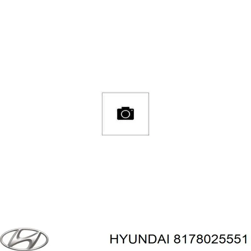 8178025551 Hyundai/Kia