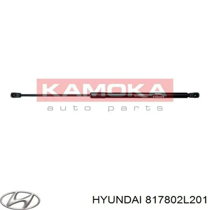 817802L201 Hyundai/Kia