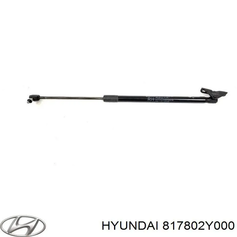 Amortiguador de maletero Hyundai/Kia 817802Y000 precio, desde 15,59 EUR