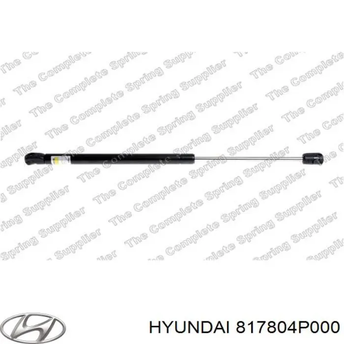 817804P000 Hyundai/Kia