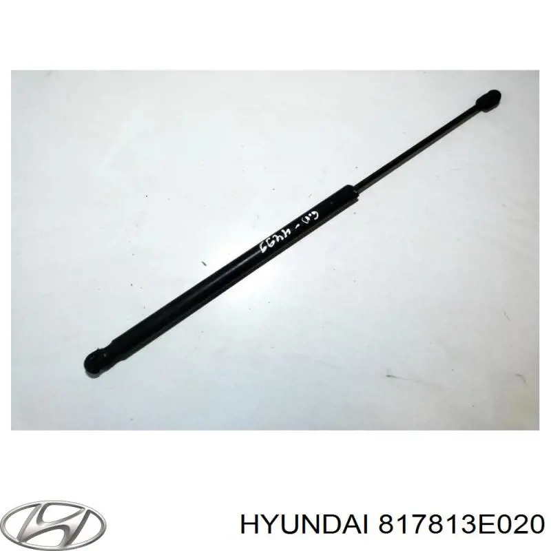 Muelle neumatico maletero Hyundai/Kia 817813E020