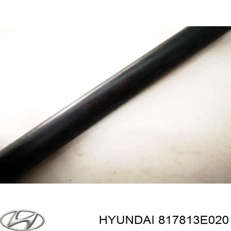 817813E020 Hyundai/Kia Amortiguador de porton