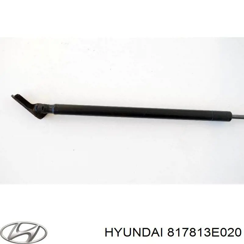 817813E020 Hyundai/Kia amortiguador maletero