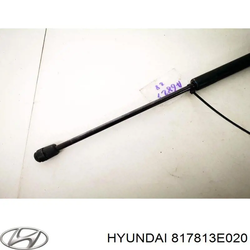 Comprar 817813E020 Hyundai/Kia Amortiguador de puerta trasera