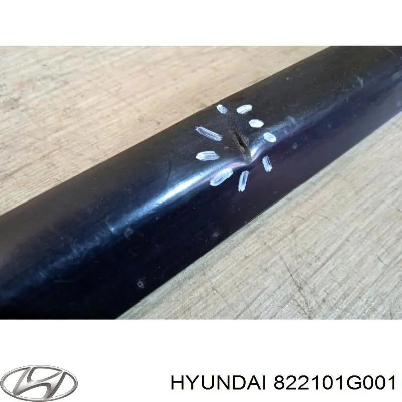 822101G001 Hyundai/Kia