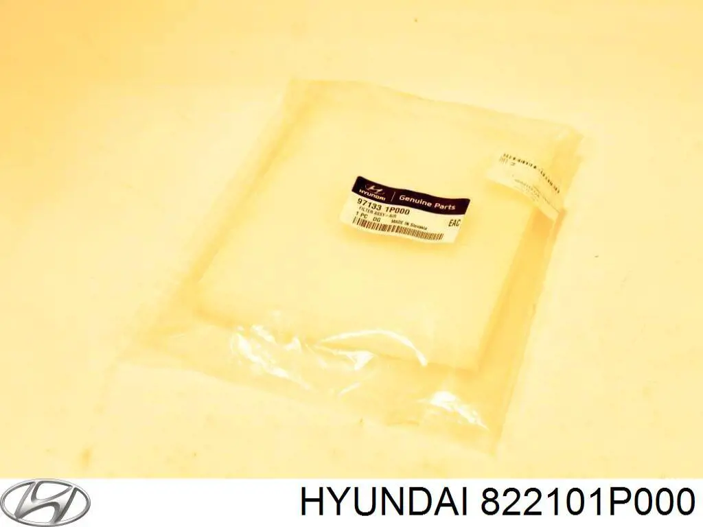 822101P000 Hyundai/Kia