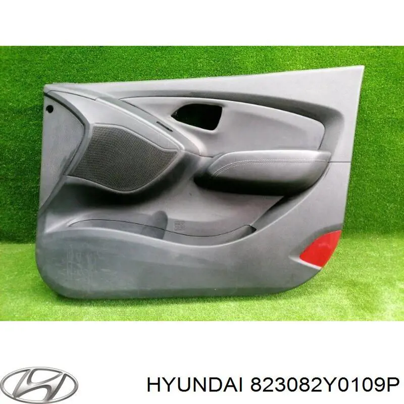 823082Y0109P Hyundai/Kia