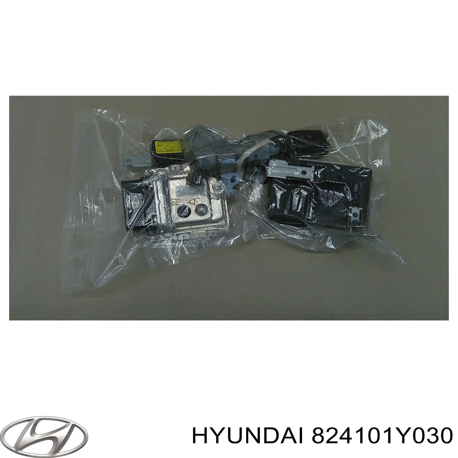 Luna de puerta delantera izquierda HYUNDAI 824101Y030