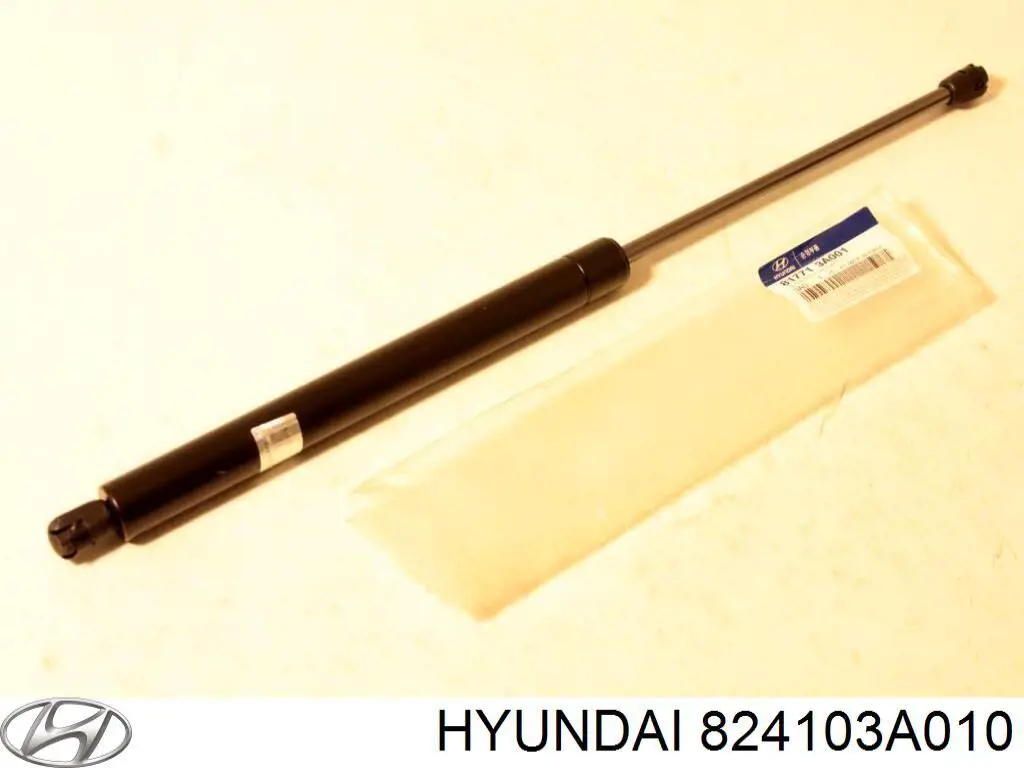 824103A010 Hyundai/Kia luna de puerta delantera derecha