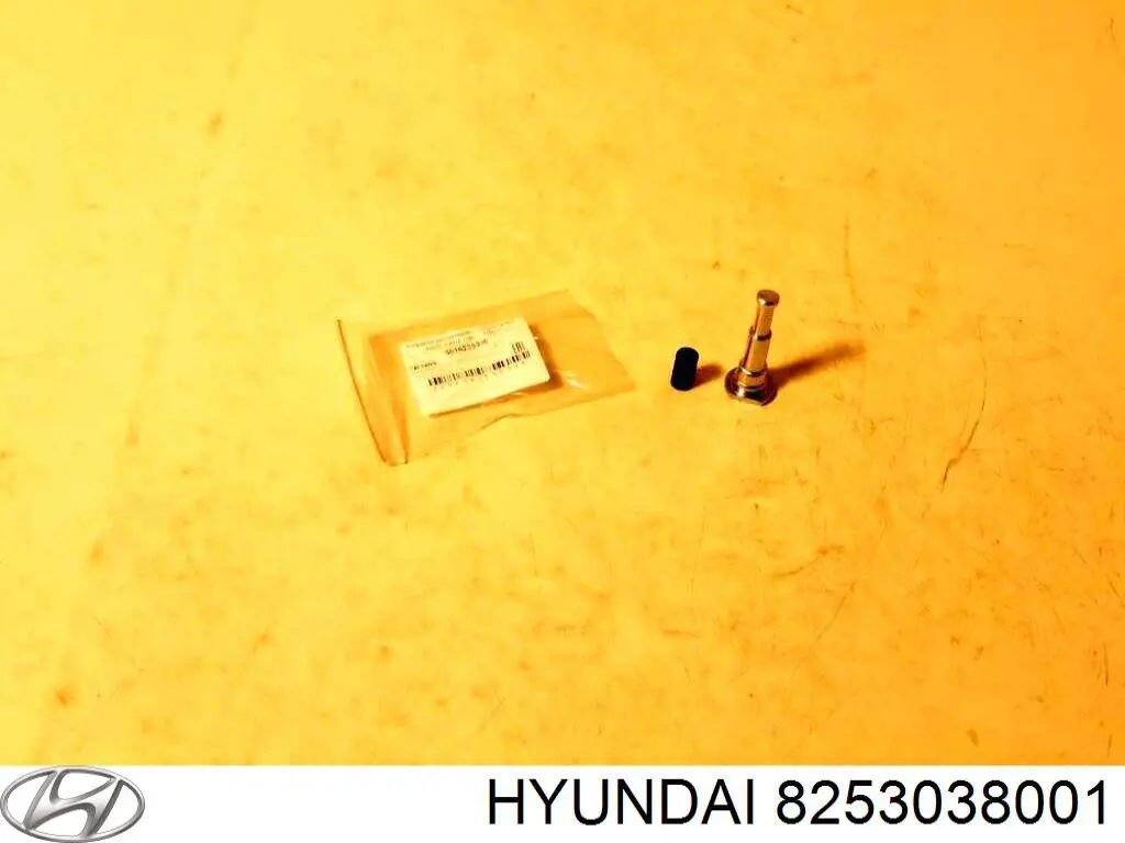 8253038001 Hyundai/Kia