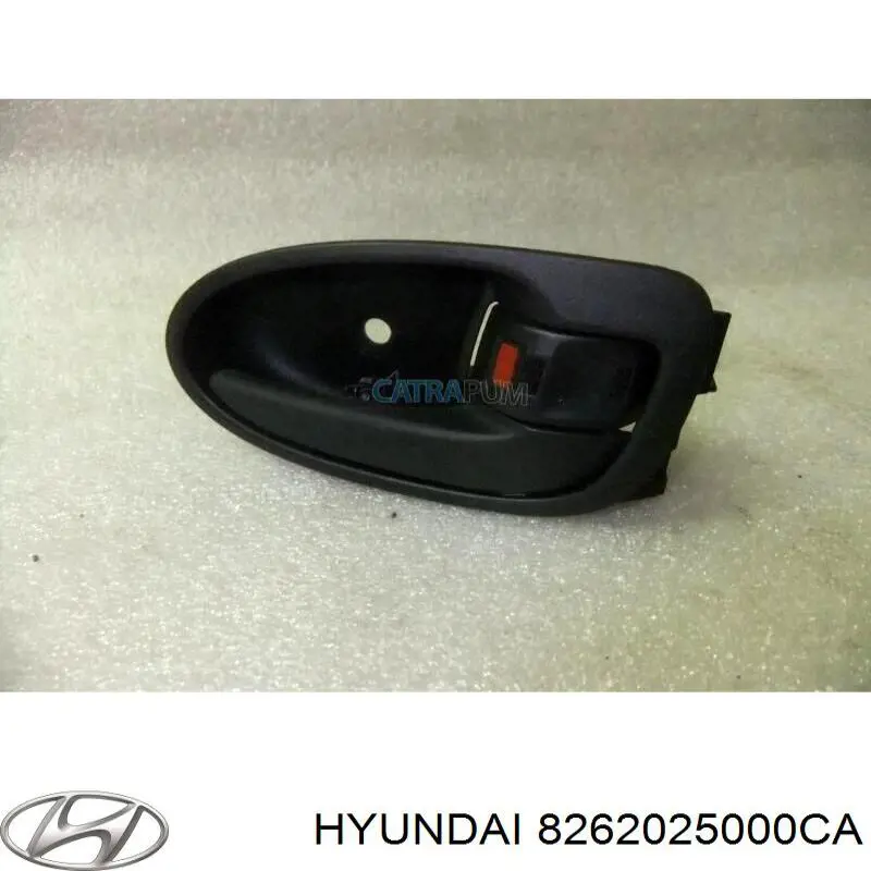 8262025000CA Hyundai/Kia